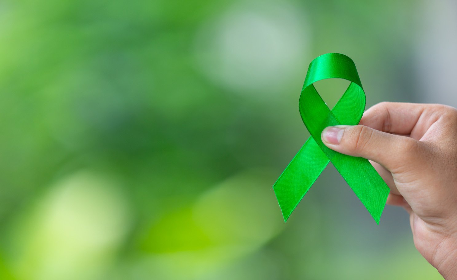 Tratado sobre el verde claro