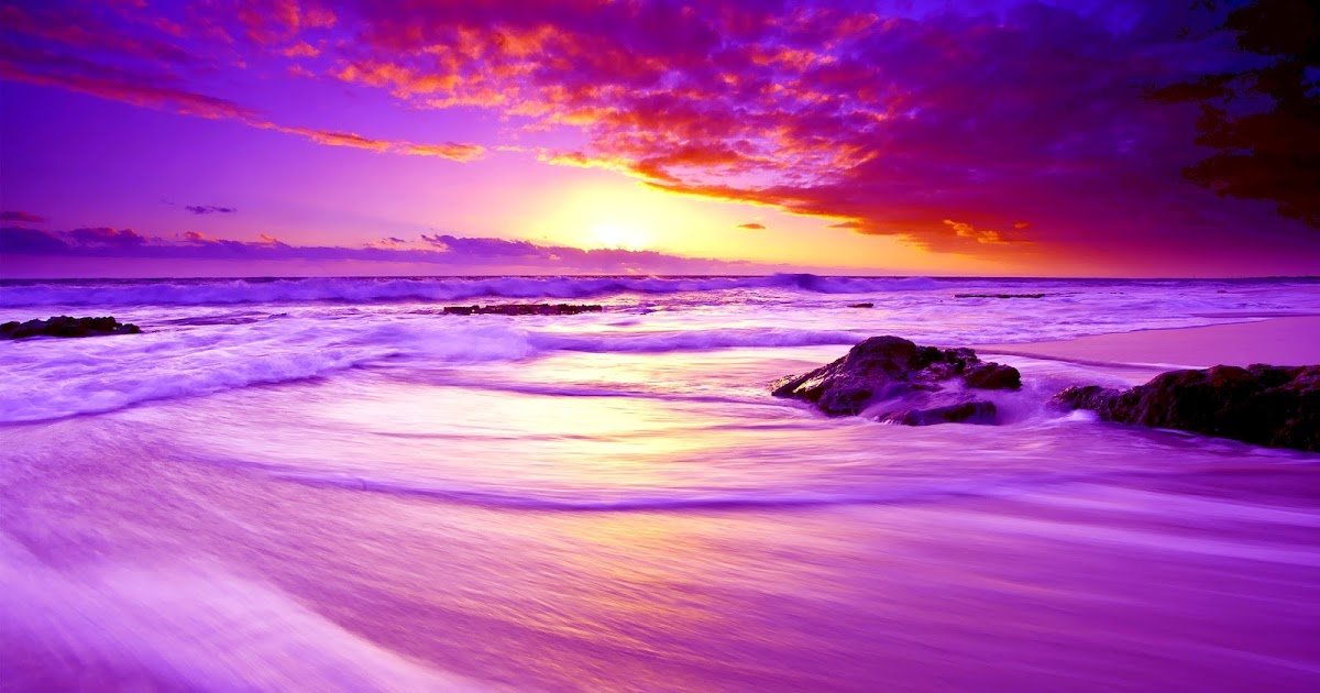 Tratado del Color Violeta