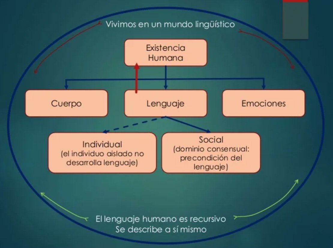 Reconstrucción Lingüística De La 3ra Dimensión Fundación Sonría 