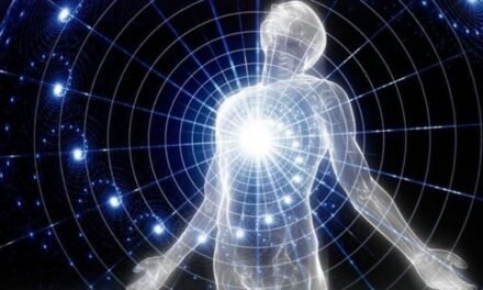 ¿De Dónde Procede la Conciencia Humana?