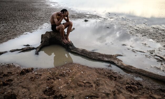 Despertar al Desaliento