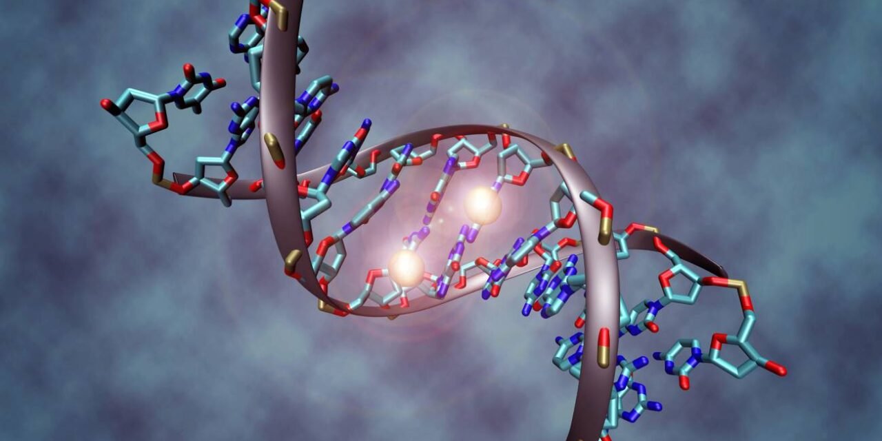 Relación entre la Biología y la Conciencia