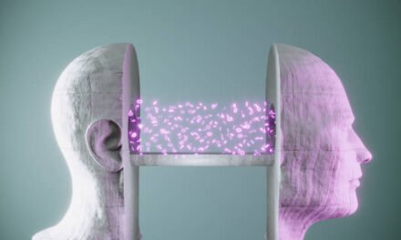 Abordando desde la Ontología de la Conciencia