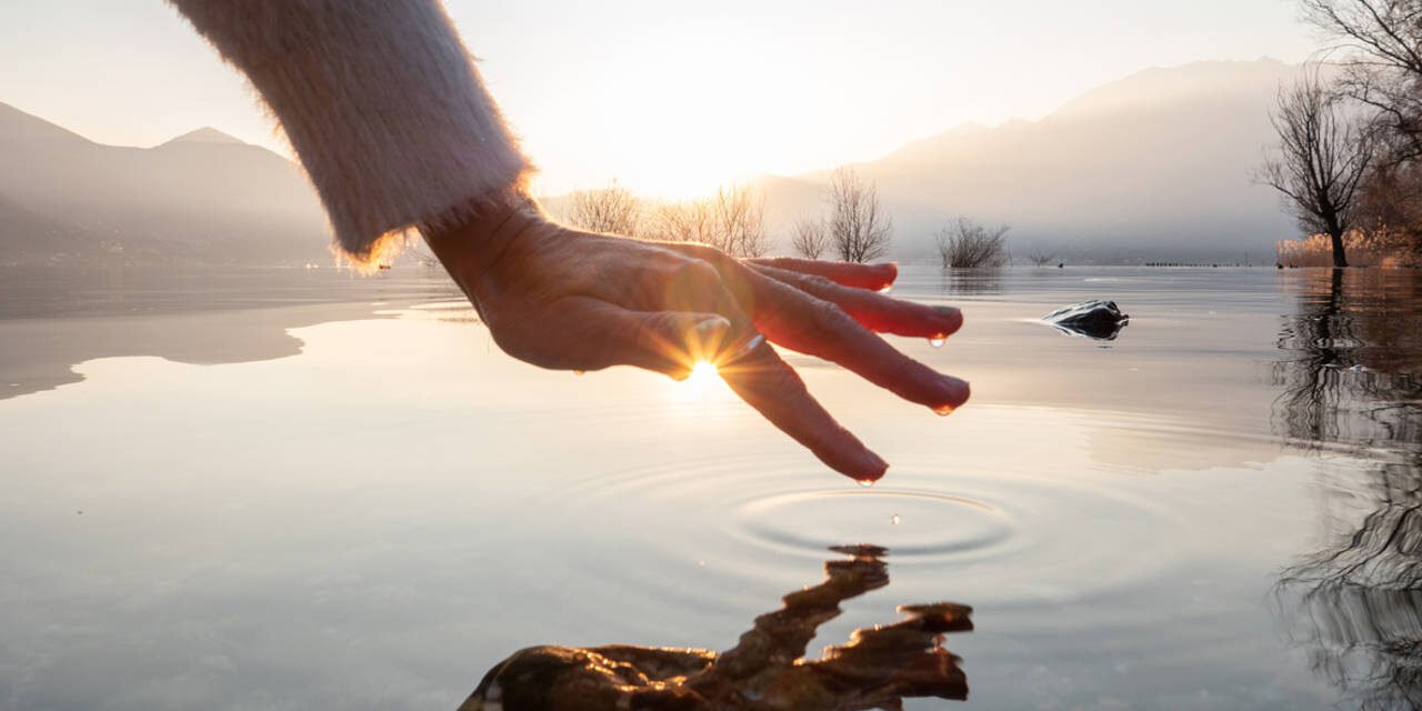 El Viaje hacia la Conciencia Pura
