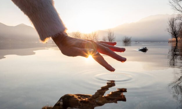 El Viaje hacia la Conciencia Pura