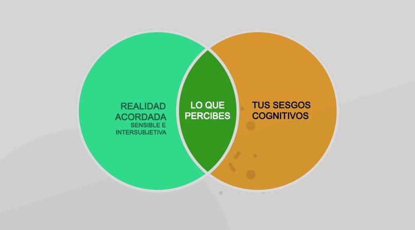 ¿Cuántos Sesgos Cognitivos existen?