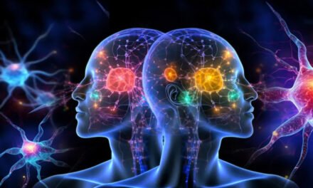 ¿Tienes un cerebro dual?