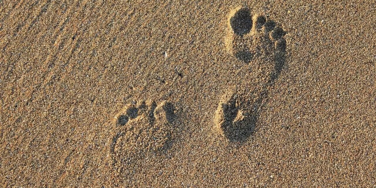 Diferencia de enfoque entre el Coaching Profesional y el basado en la Fe Cristiana