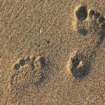 Diferencia de enfoque entre el Coaching Profesional y el basado en la Fe Cristiana